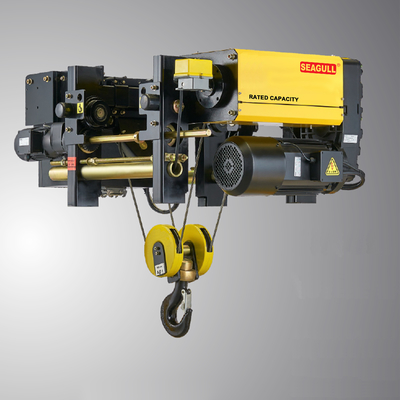 220V-480V Motore a velocità singola/doppia a catena a frequenza variabile